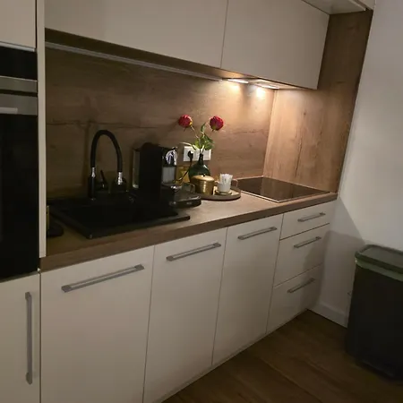 Airport Nest Apartment *